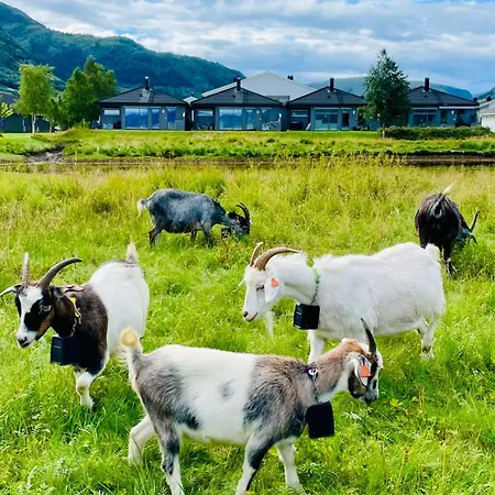 Pansiyon Strandhus I Idylliske Omgivelser Batnfjordsora